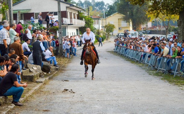VILA VERDE: Equídeos são este fim-de-semana estrelas maiores das Feiras Novas de Pico de Regalados