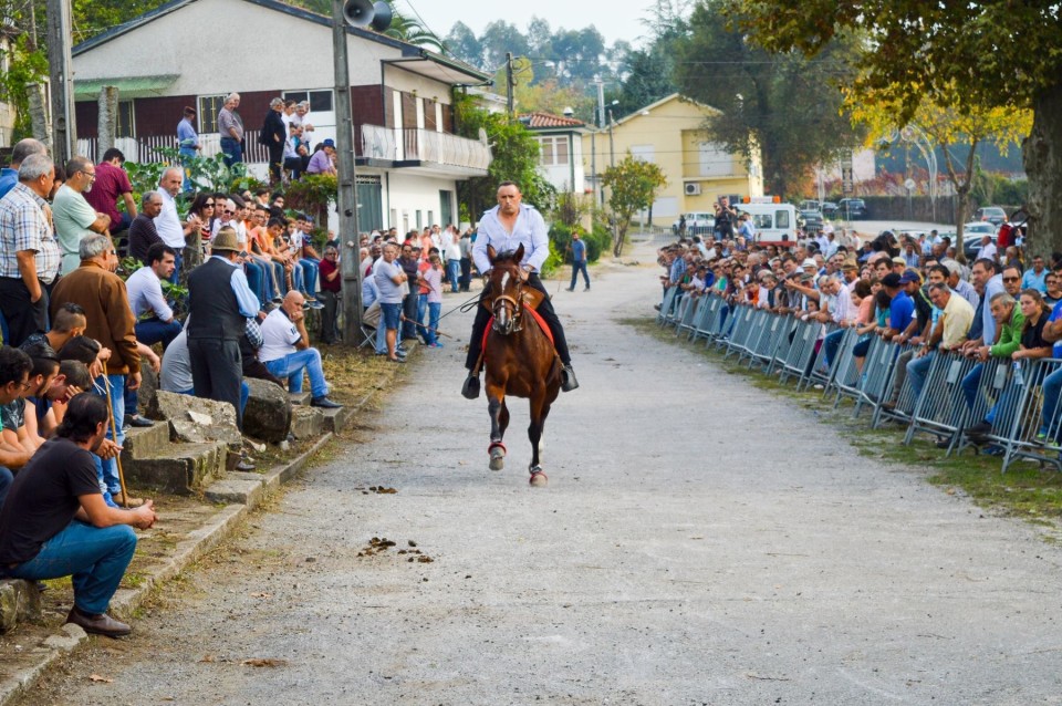 VILA VERDE: Equídeos são este fim-de-semana estrelas maiores das Feiras Novas de Pico de Regalados