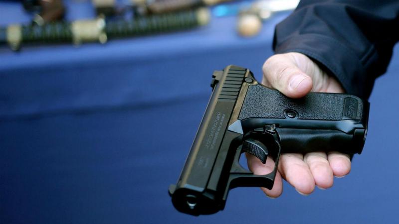 PJ de Braga detém em Viana do Castelo mecânico na posse de armas proibidas