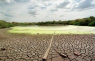 Zero alerta que seca tem efeito “dramático” na emissão de gases com efeito de estufa