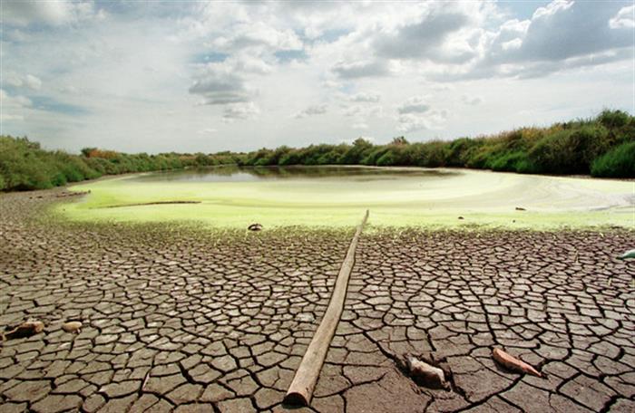 Zero alerta que seca tem efeito “dramático” na emissão de gases com efeito de estufa
