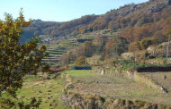 “Portugal precisa de uma autêntica conversão ecológica”, diz a Obra Nacional da Pastoral do Turismo