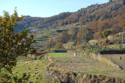 “Portugal precisa de uma autêntica conversão ecológica”, diz a Obra Nacional da Pastoral do Turismo