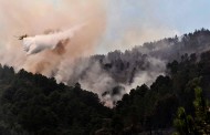TERRAS DE BOURO: Incêndio florestal em Covide combatido por 40 operacionais e um meio aéreo