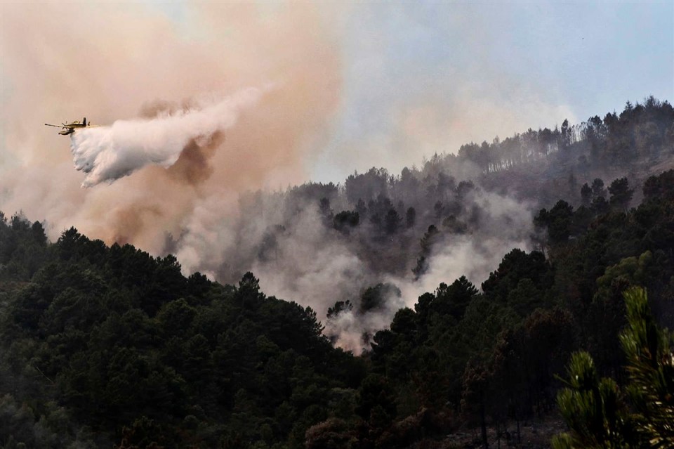 TERRAS DE BOURO: Incêndio florestal em Covide combatido por 40 operacionais e um meio aéreo