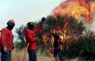 FOGOS FLORESTAIS: Temperatura elevada e fogos tornam Braga irrespirável