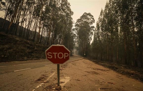 Braga, Barcelos e Viana do Castelo manifestam-se contra incêndios florestais