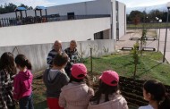 AMARES: Hortas pedagógicas renascem para ‘alimentar’ cantinas dos Centros Escolares