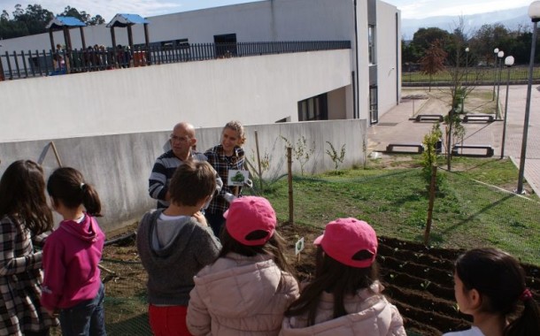 AMARES: Hortas pedagógicas renascem para ‘alimentar’ cantinas dos Centros Escolares