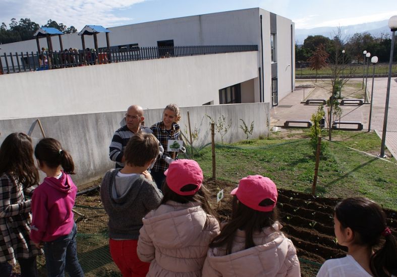 AMARES: Hortas pedagógicas renascem para ‘alimentar’ cantinas dos Centros Escolares