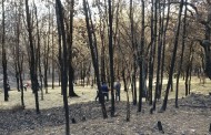 Braga implementa medidas anti-erosão dos solos pós-incêndios