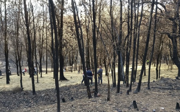 Braga implementa medidas anti-erosão dos solos pós-incêndios