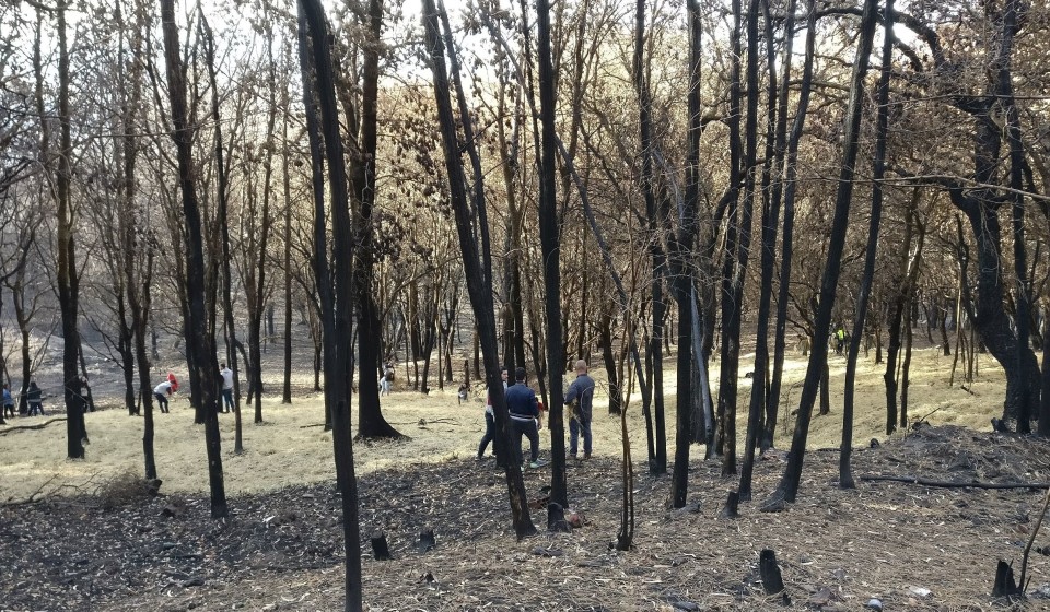 Braga implementa medidas anti-erosão dos solos pós-incêndios