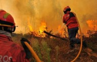 Governo prorroga até quinta-feira período crítico de fogos florestais
