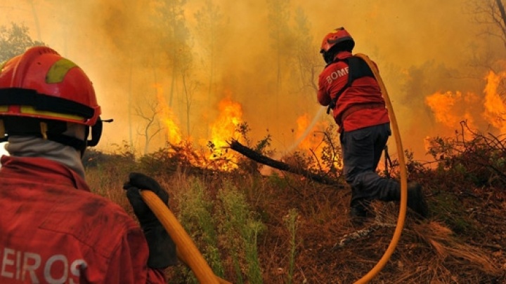 Governo prorroga até quinta-feira período crítico de fogos florestais