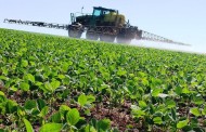 ALERTA: Portugal é o país europeu que mais usa herbicida que pode provocar cancro