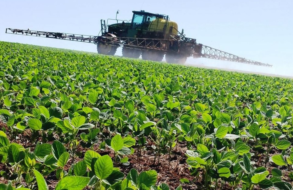 ALERTA: Portugal é o país europeu que mais usa herbicida que pode provocar cancro