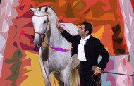 Cartaz da Feira do Cavalo de Ponte de Lima 2018 apresentado na Feira Nacional do Cavalo da Golegã