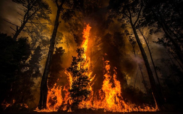 Sete anos de prisão efectiva para incendiário de Barcelos