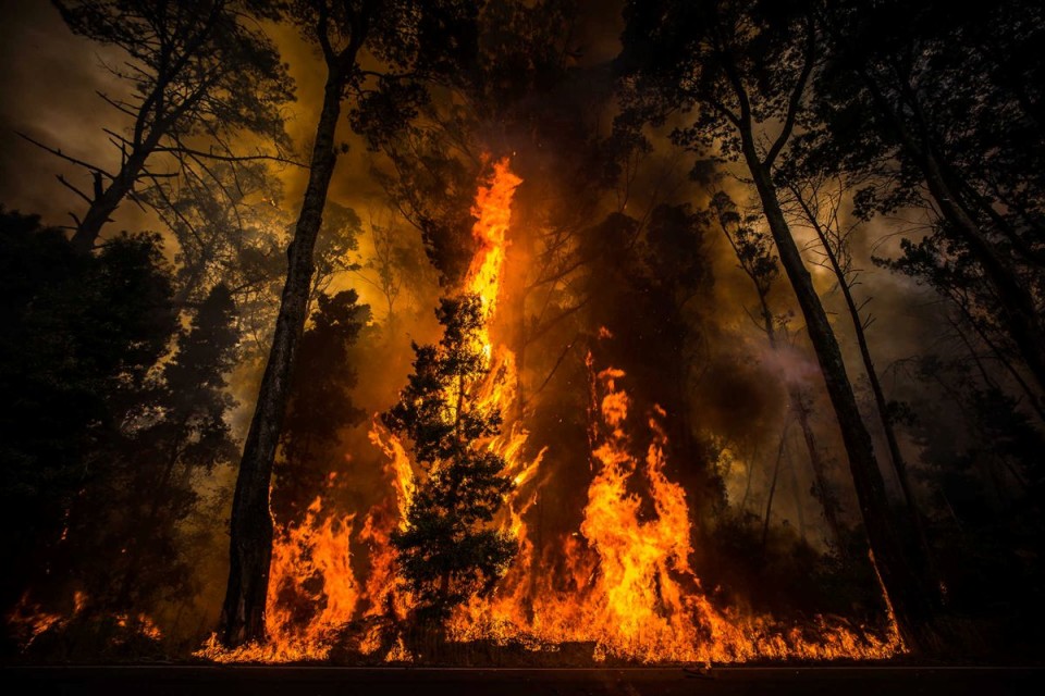 Sete anos de prisão efectiva para incendiário de Barcelos