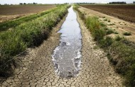 Plano nacional de regadios contra a seca avança em Janeiro, afirma Capoulas Santos
