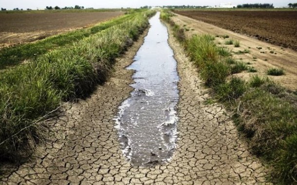 Plano nacional de regadios contra a seca avança em Janeiro, afirma Capoulas Santos