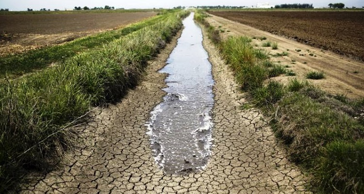 Plano nacional de regadios contra a seca avança em Janeiro, afirma Capoulas Santos