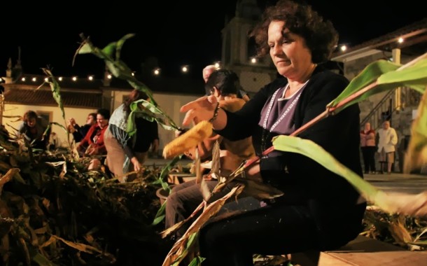 VILA VERDE: Rota das Colheitas faz balanço “extremamente positivo” com “largas dezenas de milhares de visitantes”