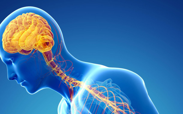 Investigadores da Universidade do Porto descobrem molécula que retarda doença de Parkinson