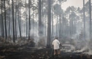 INCÊNDIOS: Agricultores afectados pelos fogos de Outubro começam a receber apoios