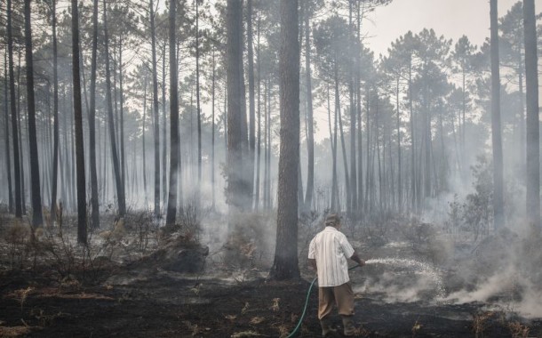 INCÊNDIOS: Agricultores afectados pelos fogos de Outubro começam a receber apoios