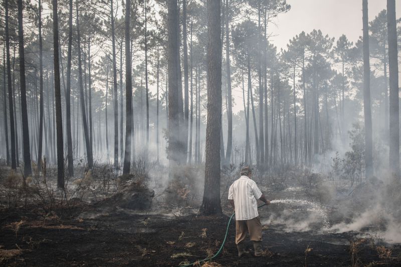 INCÊNDIOS: Agricultores afectados pelos fogos de Outubro começam a receber apoios