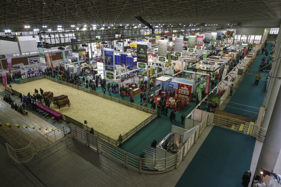 Parque de Exposições de Braga abre concurso para cafetaria e três bares