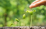 UMinho quer alavancar bioeconomia do país com EcoAgriFood
