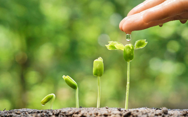 UMinho quer alavancar bioeconomia do país com EcoAgriFood