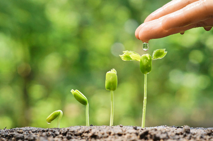 UMinho quer alavancar bioeconomia do país com EcoAgriFood
