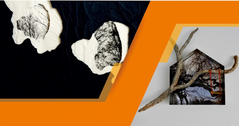 BRAGA: Exposição 'Habitats' na Casa dos Crivos (até 28 JAN)