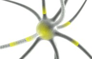 Molécula promissora contra a doença de Alzheimer falha nos testes de eficácia
