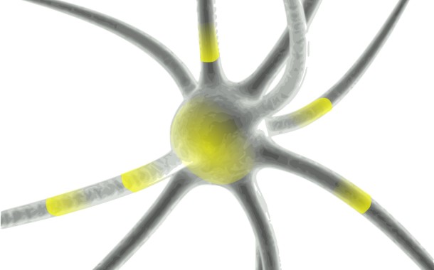 Molécula promissora contra a doença de Alzheimer falha nos testes de eficácia