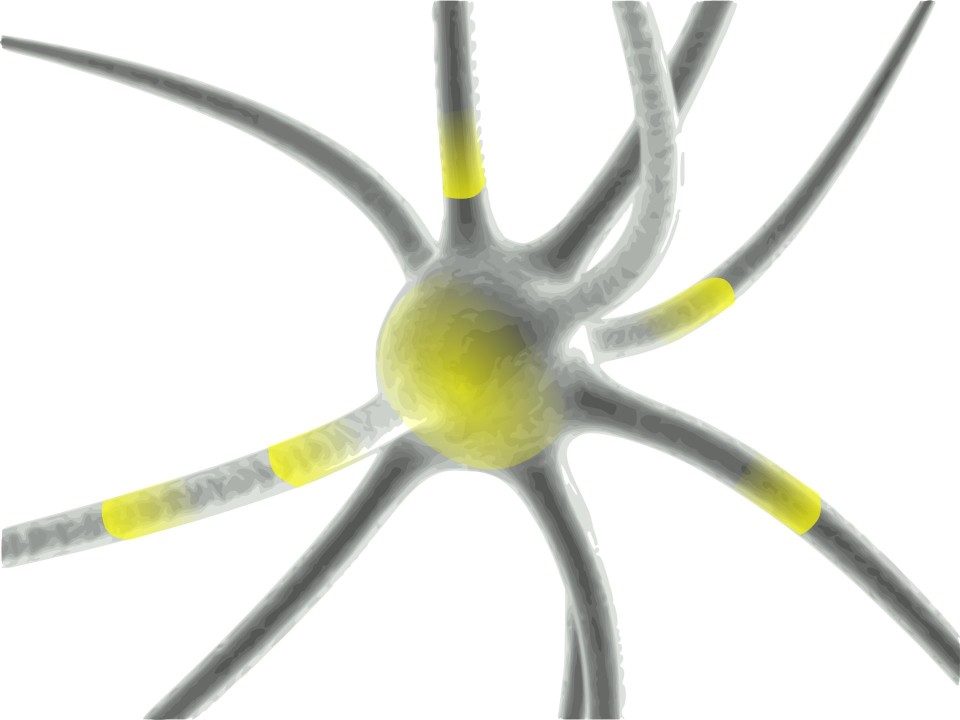Molécula promissora contra a doença de Alzheimer falha nos testes de eficácia