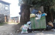 Queixas sobre lixo e ratazanas em Amares chegam à Quercus