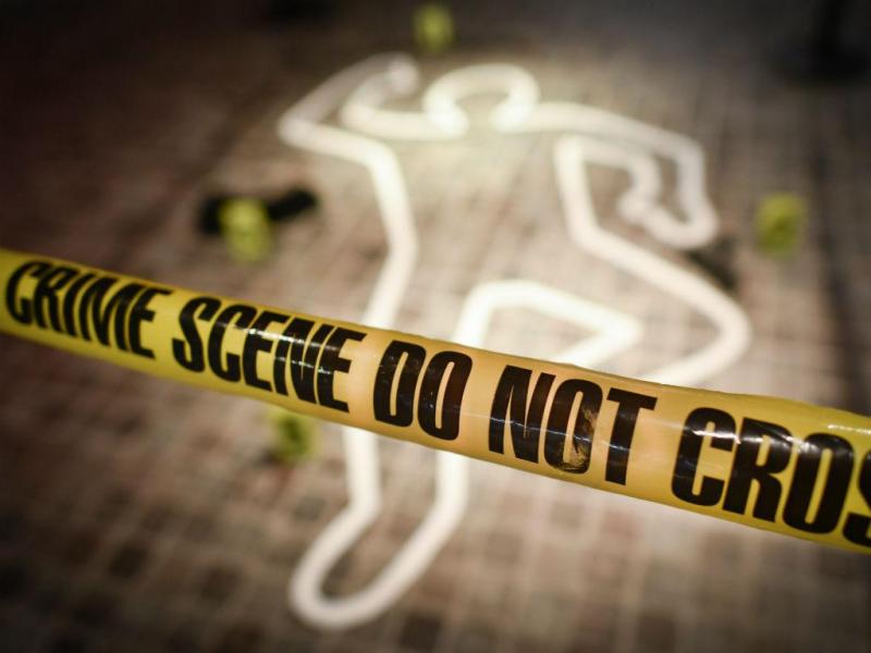 Criminologia e Justiça Criminal da UMinho é o curso com mais procura do país