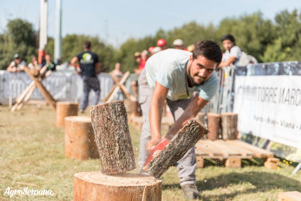PONTE DE LIMA: Feira 100% Agrolimiano acolhe este sábado e domingo primeira edição dos Agrojogos