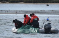 CRIME: GNR apreende meixão e 14 redes de pesca ilegais em Esposende