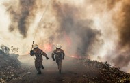 FOGOS FLORESTAIS: Câmaras têm até 31 de Maio para limpar terrenos
