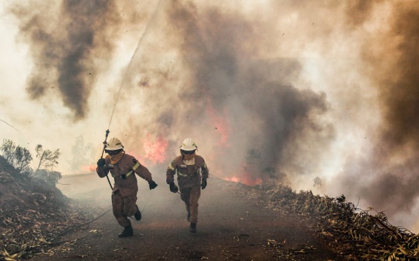 FOGOS FLORESTAIS: Câmaras têm até 31 de Maio para limpar terrenos