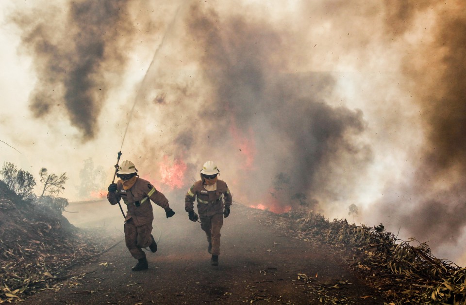 FOGOS FLORESTAIS: Câmaras têm até 31 de Maio para limpar terrenos