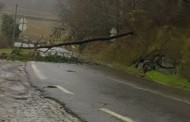 Mau tempo provoca quedas de árvores por todo o Minho