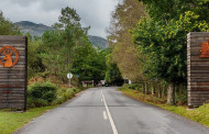 Parque Peneda Gerês inicia campanha nacional de reflorestação de áreas ardidas