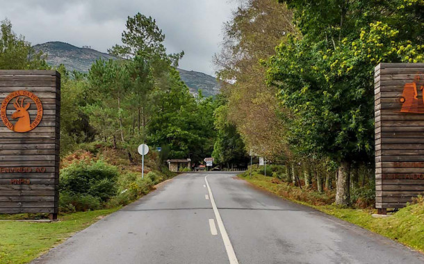 Parque Peneda Gerês inicia campanha nacional de reflorestação de áreas ardidas